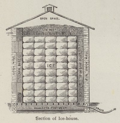Abschnitt eines Eishauses von English School