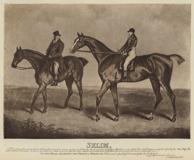 Selim (litho) af English School