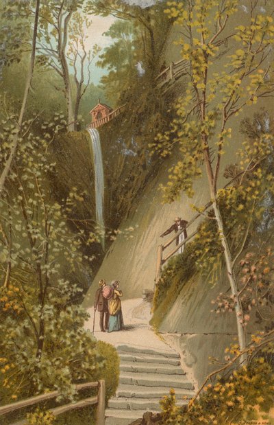 Shanklin Chine - Isle of Wight af English School
