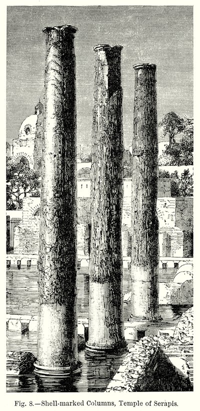 Søjler med muslingeskaller, Serapis-templet (gravering) af English School