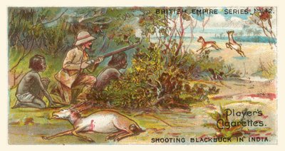 Skydning af sortbuk i Indien (chromolitho) af English School