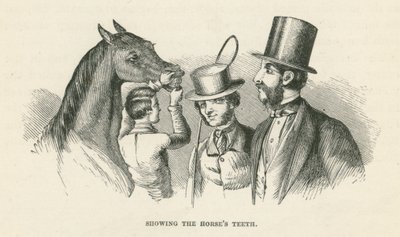 Die Zähne des Pferdes zeigen (Gravur) von English School