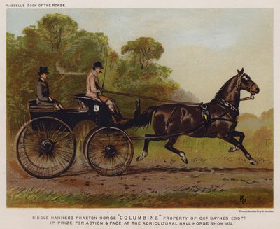 Enkeltsele Phaeton Horse "Columbine", ejendom af Charles Baynes Esq af English School