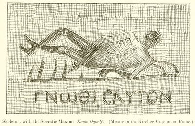 Skelet, med den sokratiske Maxim: Kend dig selv. (Mosaik i Kircher-museet i Rom) af English School