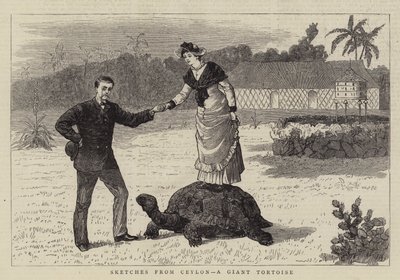Skitser fra Ceylon, en kæmpeskildpadde (gravering) af English School