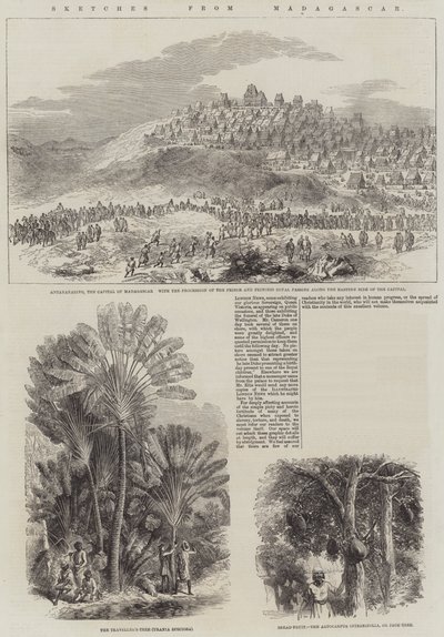 Skitser fra Madagaskar (gravering) af English School