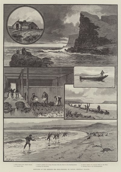 Sketches of the Behring Sea Seal-Fishery, St Paul "s, Pribylov Islandsdani af English School