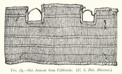 Slat Armor fra Californien (litho) af English School