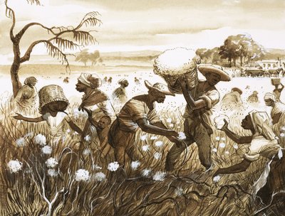 Slaver plukker bomuld af English School