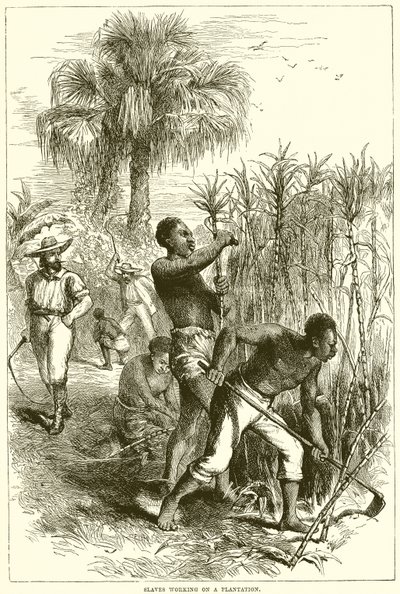 Slaves working on a plantationdani af English School