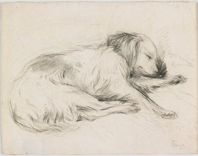 Sovende hund, ca. 1840 (grafit på papir) af English School