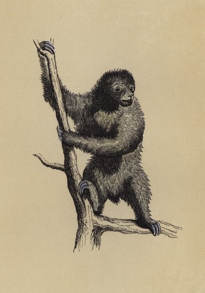 Dovendyr (farve litho) af English School