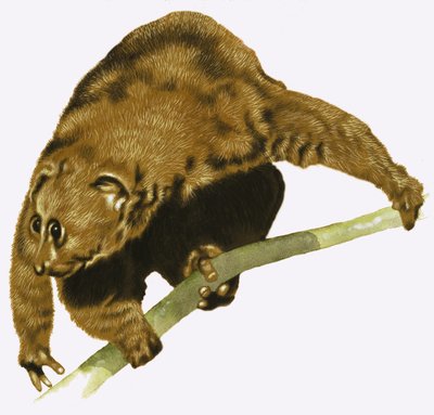 Dovendyr af English School