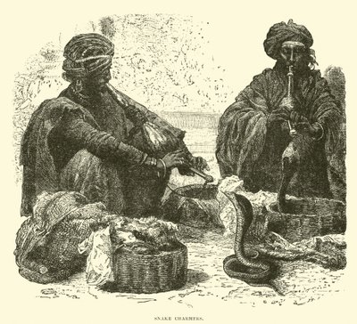 Snake charmers  af English School