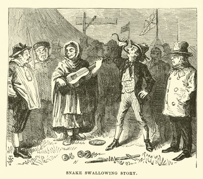 Slange synke historie af English School