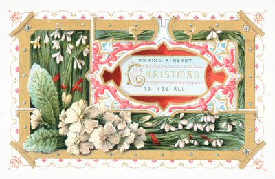 Vintergækker og blomster, julekort af English School