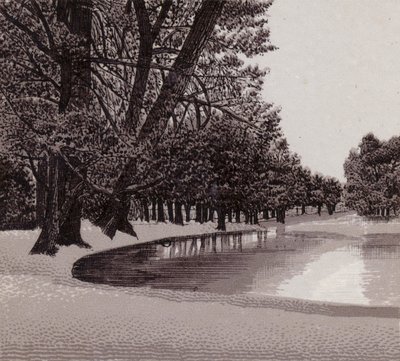 Sophia Gardens, Cardiff (litho) af English School