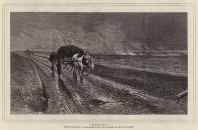 Spindrift (gravering) af English School