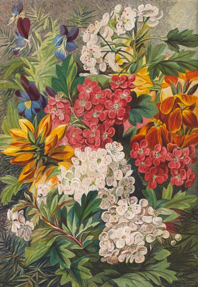 Forårsblomster (farvelitografi) af English School