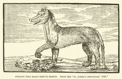 Seltsames wildes Tier in Frankreich gesehen, aus dem St James