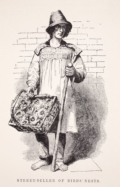 Gadesælger af fuglereder, illustration fra London Labor og London Poor af Henry Mayhew, pub. 1862 af English School