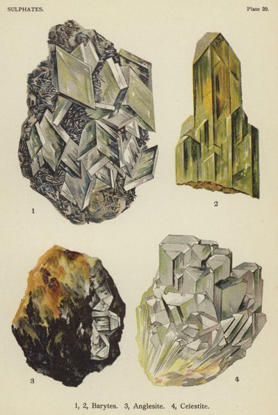 Sulfater, barytter, anglesite, celestite (farve litho) af English School