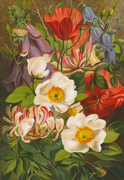 Sommerblomster (farvelitografi) af English School