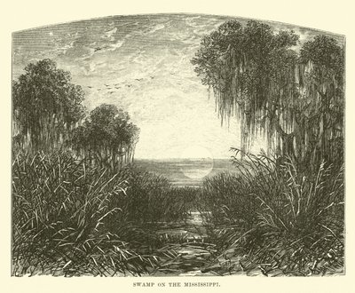 Sump på Mississippi af English School