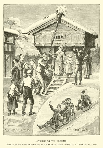 svenske vinterskikke af English School