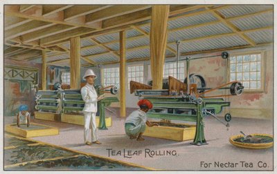 Teeblattrollen, für Nectar Tea Co, Handelskarte von English School