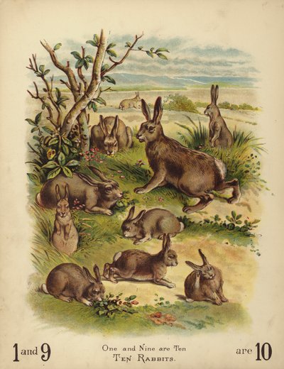 Ti kaniner (chromolitho) af English School