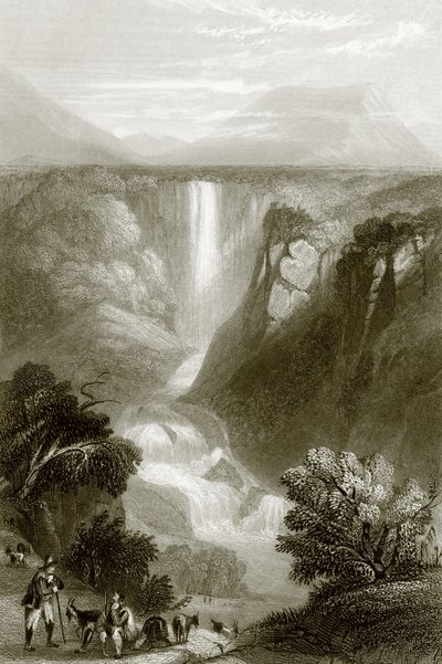 Terni af English School