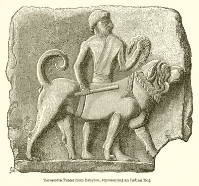 Terracotta-tablet fra Babylon, der repræsenterer en indisk hund af English School