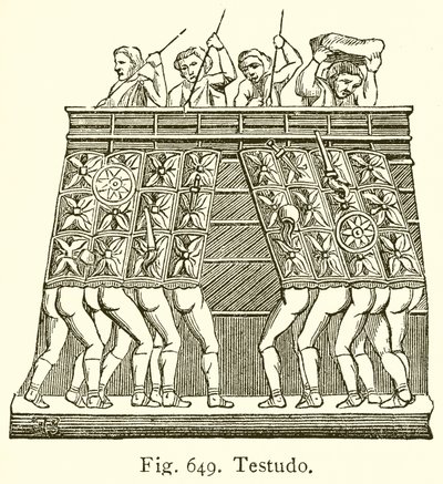 Testudo af English School