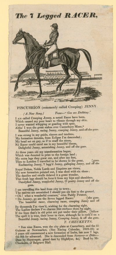 Den 7-benede racer (print) af English School