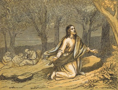 Kvalen i haven (farvet gravering) af English School