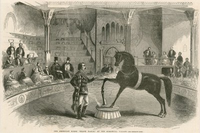 Den amerikanske hest Black Eagle ved Alhambra Palace (Alhambra Theatre), Leicester Square, London af English School