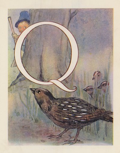 Dyrenes ABC: Bogstavet Q, Vagtel (farvelitografi) af English School