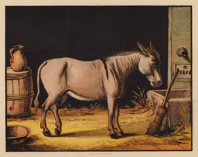 The Ass (farvelitografi) af English School