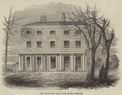 The Asylum for Idiots, Park House, Highgate af English School