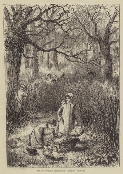 Beaconsfield-jubilæet, indsamling af Primroses (gravering) af English School