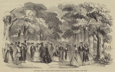 The Broad Walk, Christ Church Meadows, Oxford, søndag aften af English School