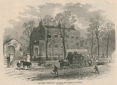 The Brown Institution, Vauxhall, for sygdomme hos dyr af English School
