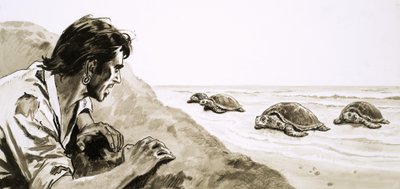 De skibbrudne: Terror of Turtle Island af English School