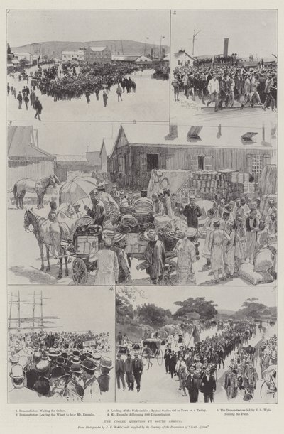 Coolie-spørgsmålet i Sydafrika (gravering) af English School