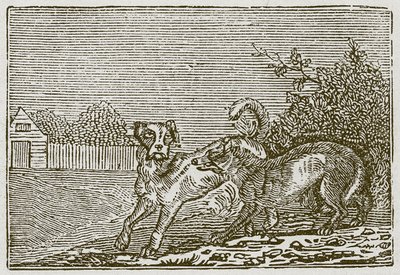 Hunden og ulven (kobberstik) af English School