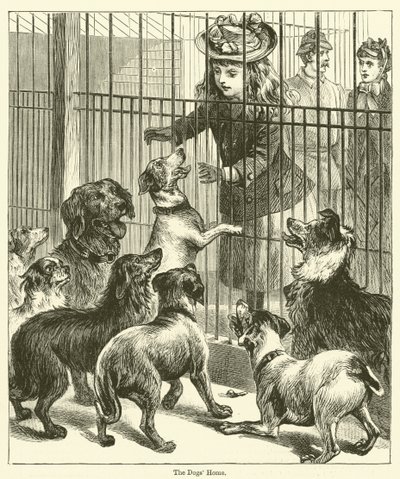 The Dogs