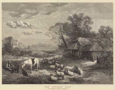 Drover
