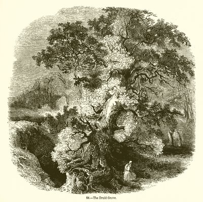 Druidelunden af English School
