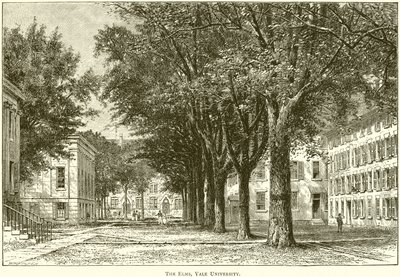 The Elms, Yale University af English School